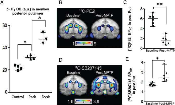 https://cdn.ncbi.nlm.nih.gov/pmc/blobs/b258/10977406/e4b49f622cbf/jpd-14-jpd230331-g002.jpg