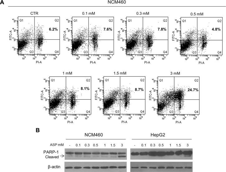 https://cdn.ncbi.nlm.nih.gov/pmc/blobs/b259/5325359/7ae27ad7489e/oncotarget-07-63226-g001.jpg