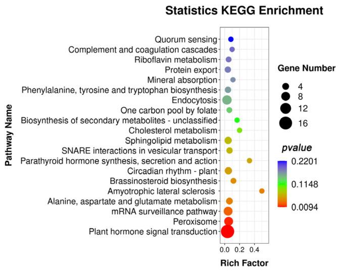 https://cdn.ncbi.nlm.nih.gov/pmc/blobs/b25a/10531394/6903980ed028/genes-14-01727-g004.jpg