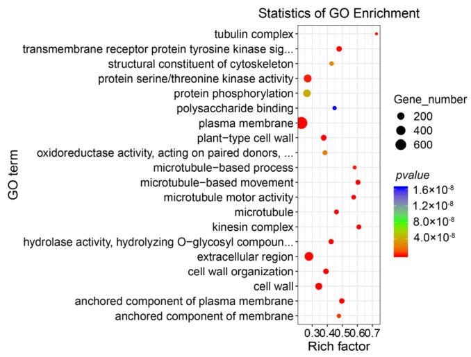 https://cdn.ncbi.nlm.nih.gov/pmc/blobs/b25a/10531394/6aa8a0a4435c/genes-14-01727-g002.jpg