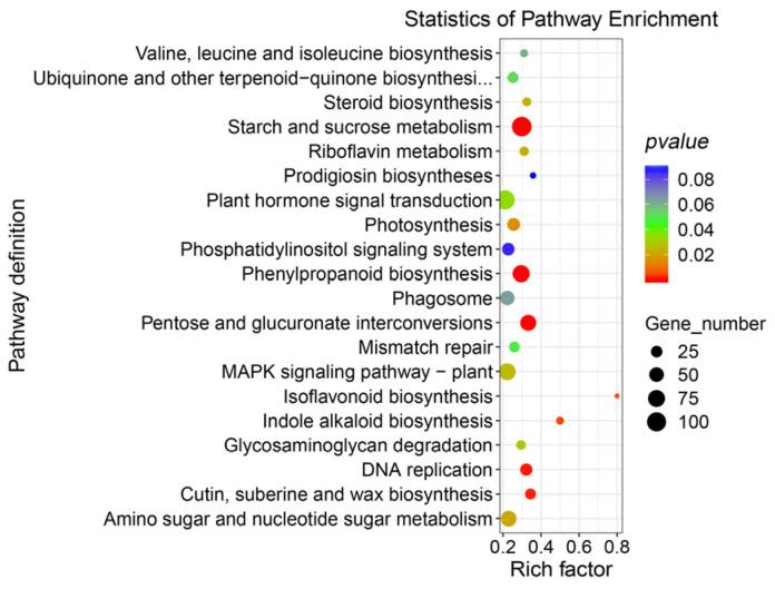 https://cdn.ncbi.nlm.nih.gov/pmc/blobs/b25a/10531394/e4c1b1fce79b/genes-14-01727-g003.jpg