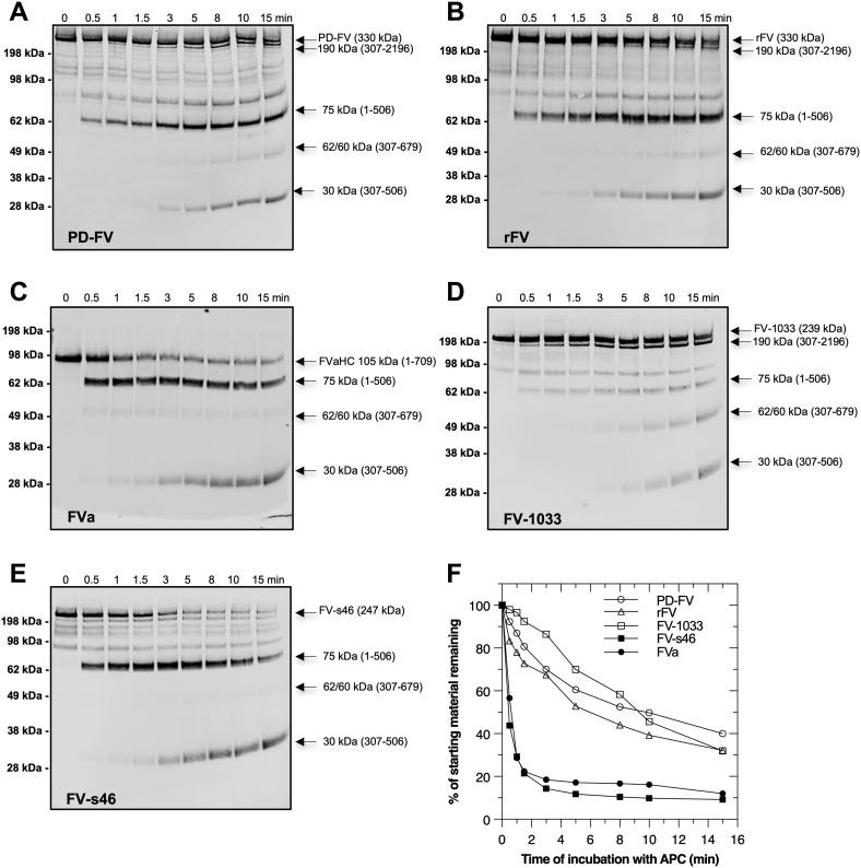 https://cdn.ncbi.nlm.nih.gov/pmc/blobs/b25b/9637641/972be4429f4e/gr2.jpg