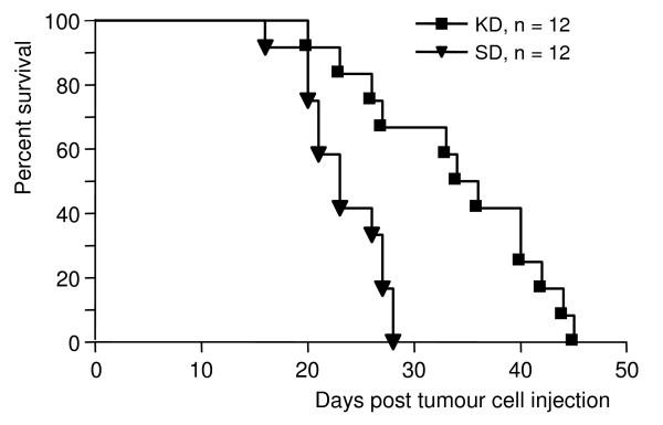 https://cdn.ncbi.nlm.nih.gov/pmc/blobs/b25e/2408928/7690b0d5939c/1471-2407-8-122-3.jpg