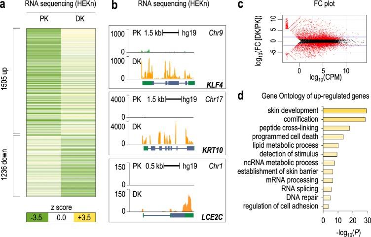 https://cdn.ncbi.nlm.nih.gov/pmc/blobs/b25e/6755960/d4d26eaa6a19/41388_2018_509_Fig1_HTML.jpg