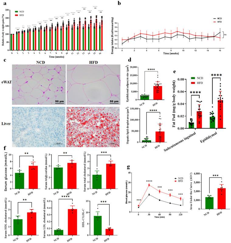 https://cdn.ncbi.nlm.nih.gov/pmc/blobs/b25f/10931208/ff3943a1032a/foods-13-00699-g001.jpg