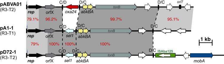 https://cdn.ncbi.nlm.nih.gov/pmc/blobs/b260/11702686/6e115e5b053e/44259_2023_19_Fig3_HTML.jpg