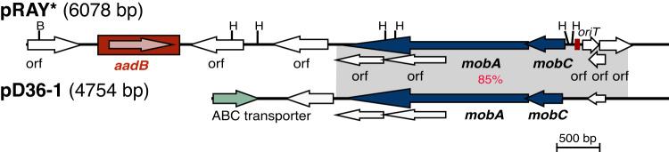 https://cdn.ncbi.nlm.nih.gov/pmc/blobs/b260/11702686/9ff72834a9c4/44259_2023_19_Fig6_HTML.jpg