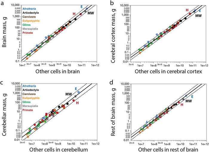 https://cdn.ncbi.nlm.nih.gov/pmc/blobs/b260/12445405/f77b185fd737/CNE-533-e70089-g009.jpg