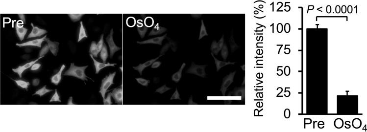 https://cdn.ncbi.nlm.nih.gov/pmc/blobs/b261/9249884/6decf632a510/41598_2022_15438_Fig2_HTML.jpg