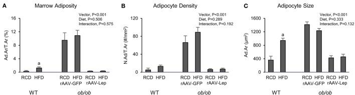 https://cdn.ncbi.nlm.nih.gov/pmc/blobs/b263/4985531/429916744751/fendo-07-00110-g003.jpg