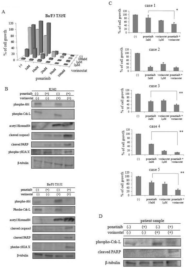 https://cdn.ncbi.nlm.nih.gov/pmc/blobs/b265/3938434/59fcfda01551/pone.0089080.g002.jpg