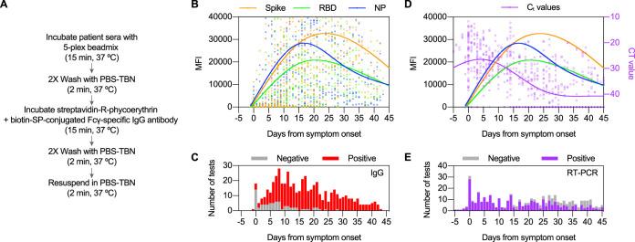 https://cdn.ncbi.nlm.nih.gov/pmc/blobs/b267/8111159/2a4e2bc48b80/JCM.02489-20-f0001.jpg