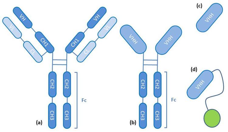 https://cdn.ncbi.nlm.nih.gov/pmc/blobs/b26a/11410046/8f4effb4953c/IJN-19-9503-g0012.jpg