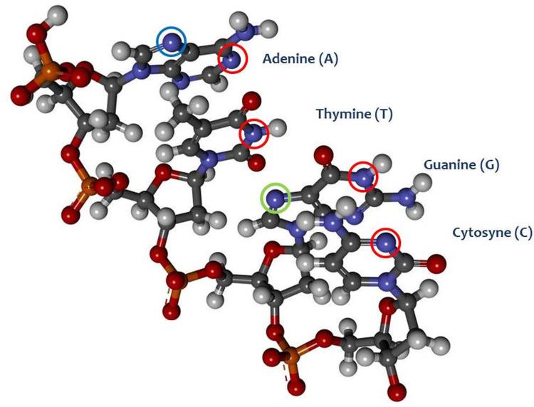 https://cdn.ncbi.nlm.nih.gov/pmc/blobs/b26a/11410046/98d66925e00d/IJN-19-9503-g0004.jpg