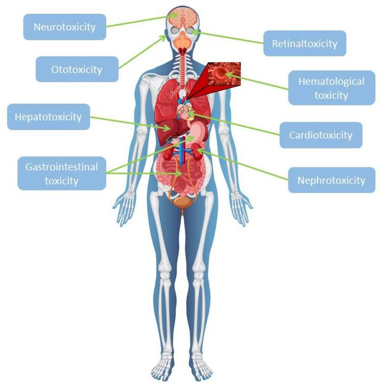 https://cdn.ncbi.nlm.nih.gov/pmc/blobs/b26a/11410046/bdc49750eba5/IJN-19-9503-g0006.jpg