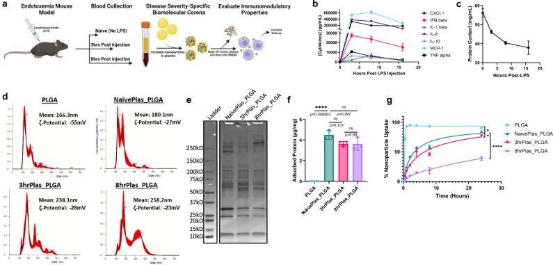 https://cdn.ncbi.nlm.nih.gov/pmc/blobs/b26b/11754911/3169072378d0/41467_2025_56210_Fig1_HTML.jpg