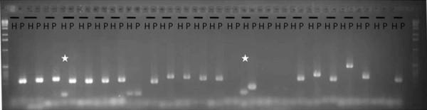 https://cdn.ncbi.nlm.nih.gov/pmc/blobs/b26b/3204308/3661b449bc97/1471-2164-12-498-3.jpg