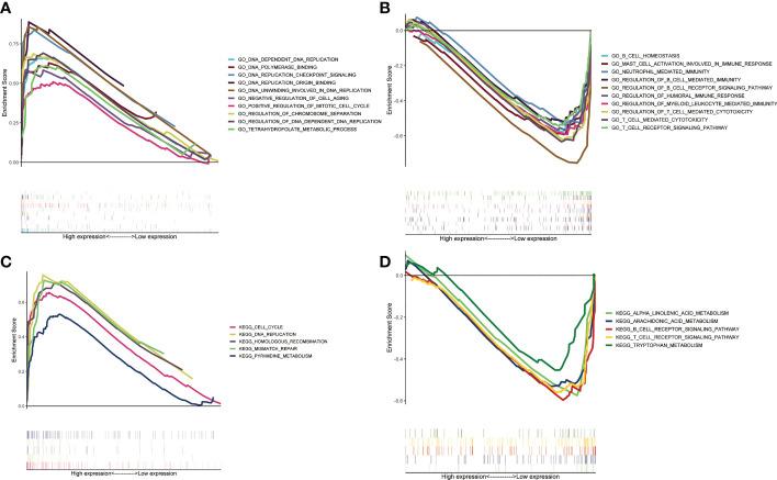 https://cdn.ncbi.nlm.nih.gov/pmc/blobs/b26f/10079938/6c487243ea5b/fimmu-14-1147528-g005.jpg