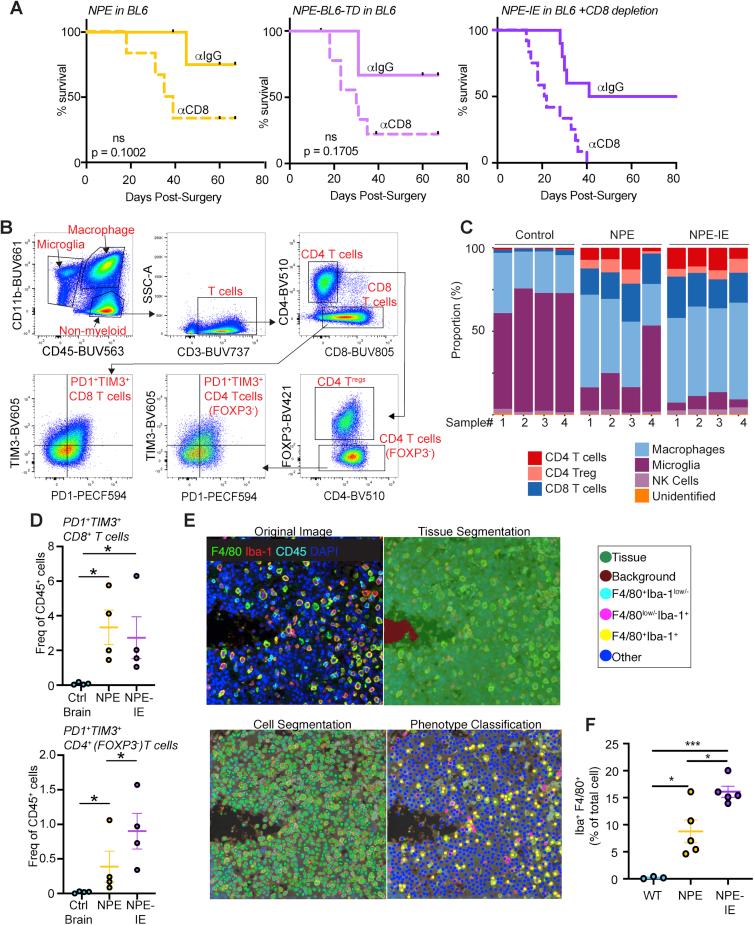 https://cdn.ncbi.nlm.nih.gov/pmc/blobs/b271/8099351/1c9cdaf30182/figs2.jpg