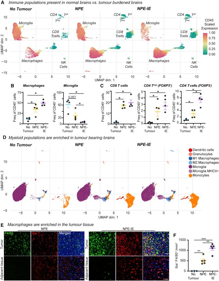 https://cdn.ncbi.nlm.nih.gov/pmc/blobs/b271/8099351/1dfdae040dc7/gr2.jpg