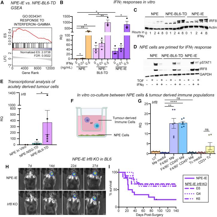 https://cdn.ncbi.nlm.nih.gov/pmc/blobs/b271/8099351/28aae7a22d0c/gr6.jpg