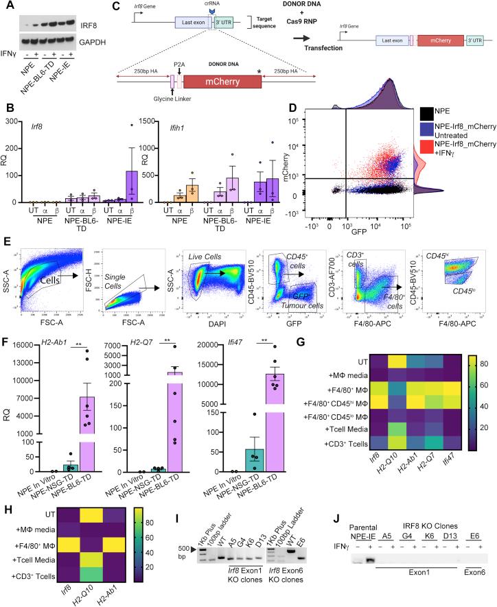 https://cdn.ncbi.nlm.nih.gov/pmc/blobs/b271/8099351/ea5cdbdcc2f2/figs5.jpg