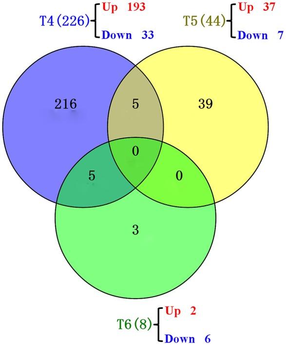 https://cdn.ncbi.nlm.nih.gov/pmc/blobs/b273/5399029/3077947aedda/fpls-08-00592-g0005.jpg