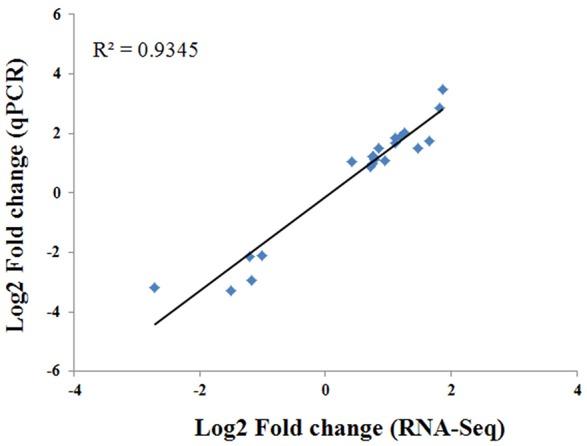 https://cdn.ncbi.nlm.nih.gov/pmc/blobs/b273/5399029/a40947e45b48/fpls-08-00592-g0006.jpg