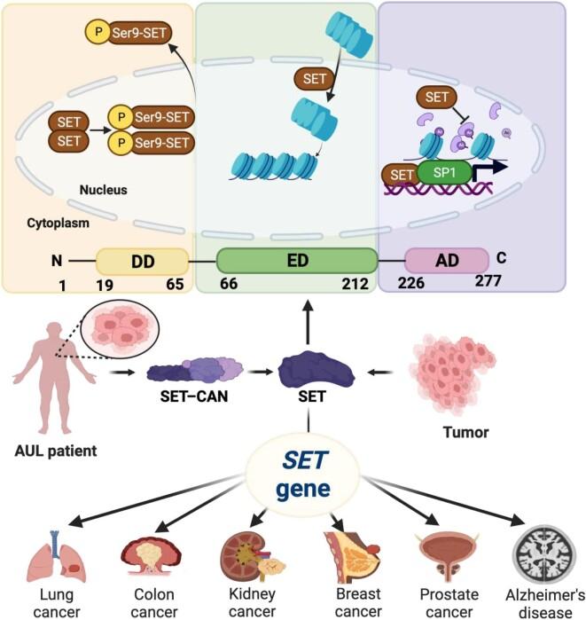 https://cdn.ncbi.nlm.nih.gov/pmc/blobs/b274/11267991/a40fef225937/mjad082fig2.jpg