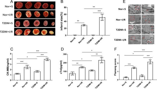 https://cdn.ncbi.nlm.nih.gov/pmc/blobs/b275/11339408/39e76ffce2b7/41598_2024_70477_Fig2_HTML.jpg