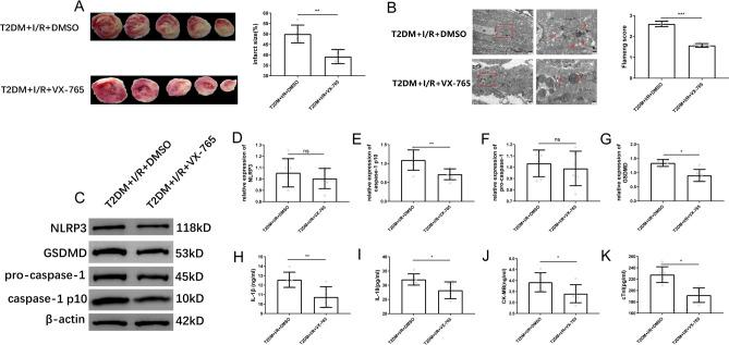 https://cdn.ncbi.nlm.nih.gov/pmc/blobs/b275/11339408/3b2d1192ae7d/41598_2024_70477_Fig5_HTML.jpg
