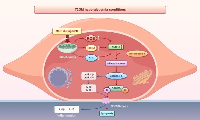https://cdn.ncbi.nlm.nih.gov/pmc/blobs/b275/11339408/4a95ab654648/41598_2024_70477_Fig8_HTML.jpg