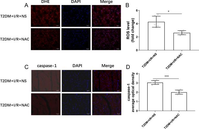 https://cdn.ncbi.nlm.nih.gov/pmc/blobs/b275/11339408/5c29ebf16b45/41598_2024_70477_Fig6_HTML.jpg