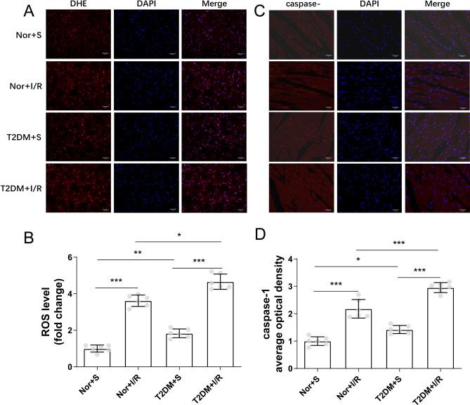 https://cdn.ncbi.nlm.nih.gov/pmc/blobs/b275/11339408/a49553f283dc/41598_2024_70477_Fig3_HTML.jpg