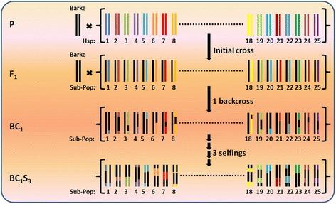 https://cdn.ncbi.nlm.nih.gov/pmc/blobs/b277/4426605/55596a454dc9/12864_2015_1459_Fig1_HTML.jpg