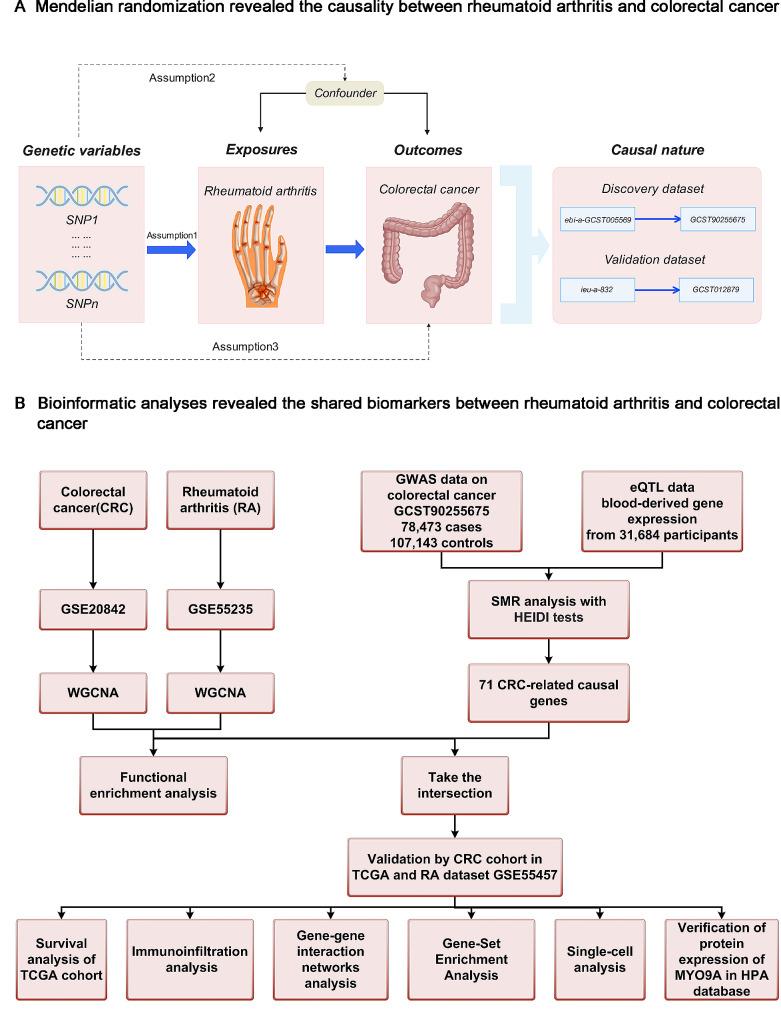 https://cdn.ncbi.nlm.nih.gov/pmc/blobs/b278/11165834/0c8e6ef4ddac/12885_2024_12466_Fig1_HTML.jpg