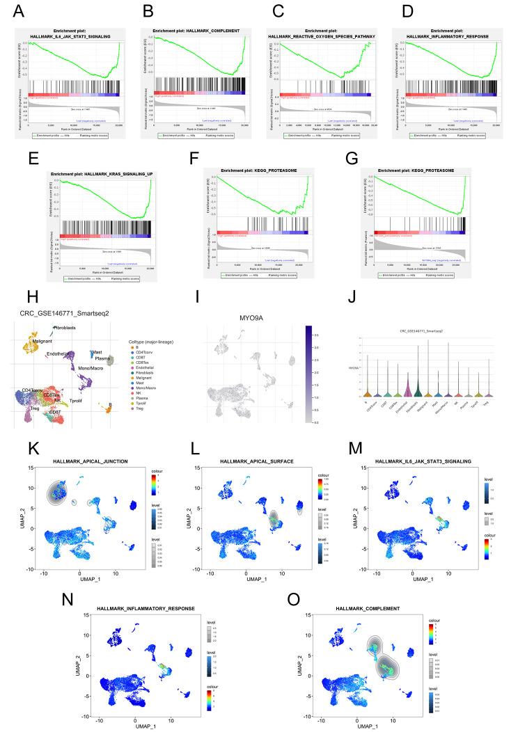 https://cdn.ncbi.nlm.nih.gov/pmc/blobs/b278/11165834/3ca0f48fb3ed/12885_2024_12466_Fig4_HTML.jpg