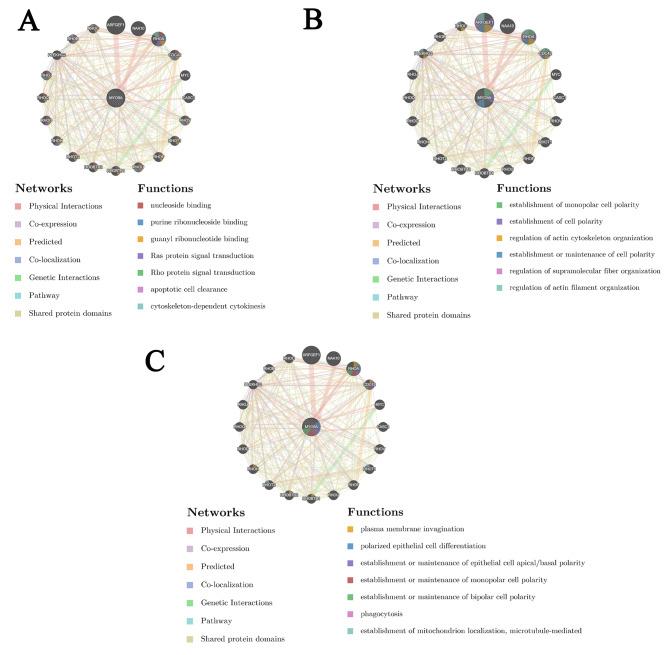 https://cdn.ncbi.nlm.nih.gov/pmc/blobs/b278/11165834/f0ddd70f43cd/12885_2024_12466_Fig3_HTML.jpg