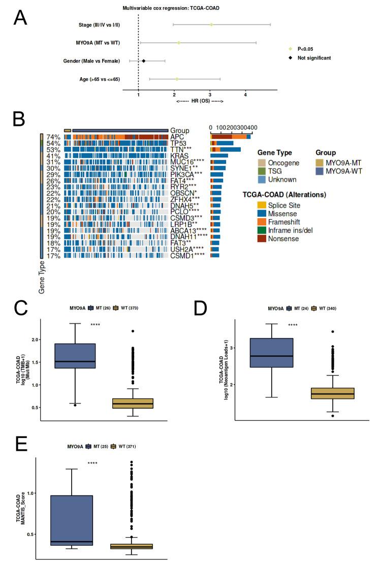 https://cdn.ncbi.nlm.nih.gov/pmc/blobs/b278/11165834/f56105c116f6/12885_2024_12466_Fig5_HTML.jpg
