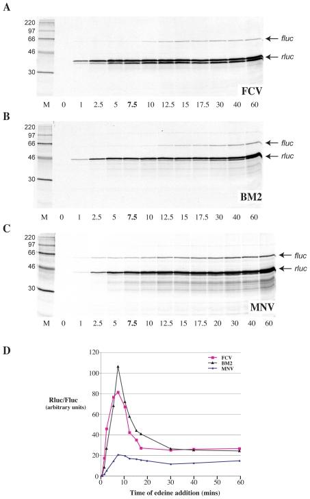 https://cdn.ncbi.nlm.nih.gov/pmc/blobs/b27a/2793014/465449abd5d6/pone.0008390.g007.jpg