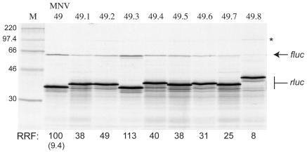 https://cdn.ncbi.nlm.nih.gov/pmc/blobs/b27a/2793014/651f4a737f25/pone.0008390.g006.jpg