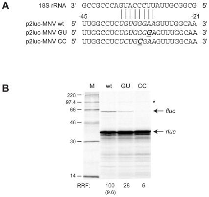 https://cdn.ncbi.nlm.nih.gov/pmc/blobs/b27a/2793014/e19946a3516a/pone.0008390.g002.jpg