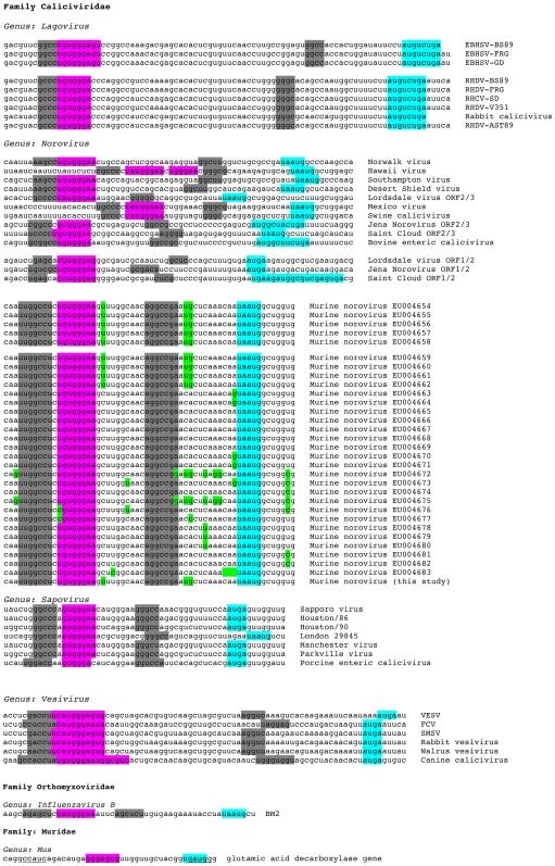 https://cdn.ncbi.nlm.nih.gov/pmc/blobs/b27a/2793014/ea9ad9a0e6f5/pone.0008390.g008.jpg
