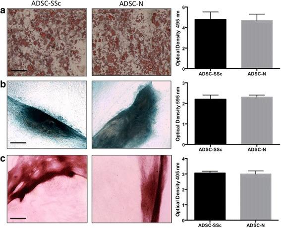 https://cdn.ncbi.nlm.nih.gov/pmc/blobs/b27a/5297142/dc96a317853b/13287_2016_444_Fig2_HTML.jpg
