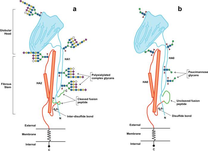 https://cdn.ncbi.nlm.nih.gov/pmc/blobs/b27a/8640007/c269d9b83d79/41541_2021_403_Fig2_HTML.jpg