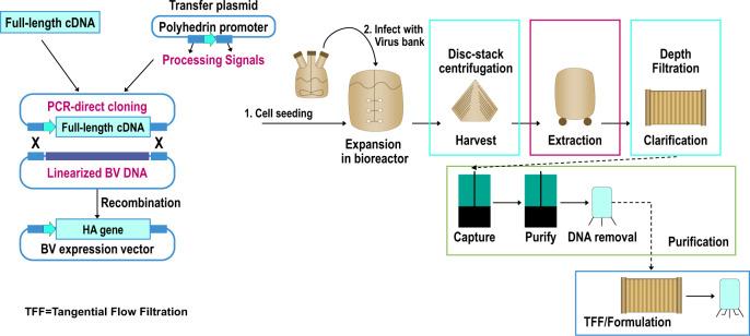 https://cdn.ncbi.nlm.nih.gov/pmc/blobs/b27a/8640007/efe765d78dd7/41541_2021_403_Fig1_HTML.jpg
