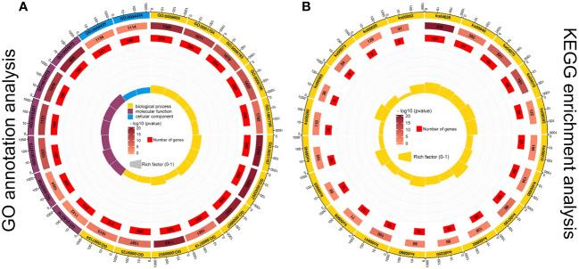 https://cdn.ncbi.nlm.nih.gov/pmc/blobs/b27f/10523332/5d2295b42cfd/fpls-14-1257541-g005.jpg