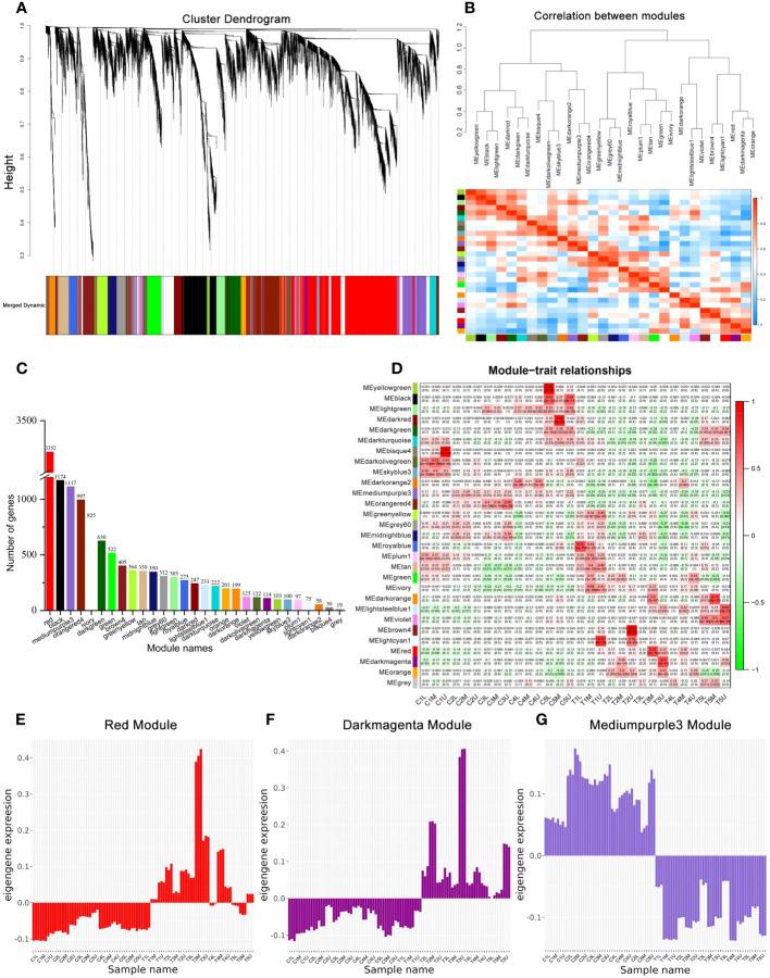 https://cdn.ncbi.nlm.nih.gov/pmc/blobs/b27f/10523332/a426e17b4cc0/fpls-14-1257541-g004.jpg