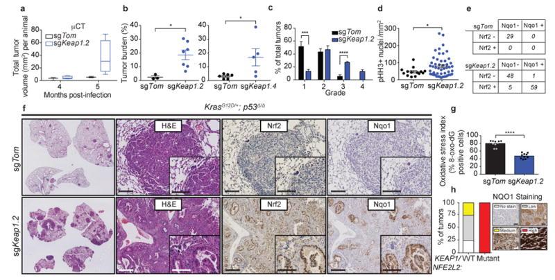 https://cdn.ncbi.nlm.nih.gov/pmc/blobs/b27f/5677540/9d3a007a3b9a/nihms901248f1.jpg