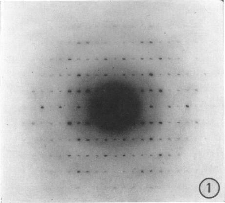 https://cdn.ncbi.nlm.nih.gov/pmc/blobs/b282/1367545/f404910fed6c/biophysj00683-0007-a.jpg